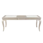 Modern Glamourous 1pc Dining Table with Separate Extension Leaf Cabriole Legs Insert Glass Panels Traditional Furniture