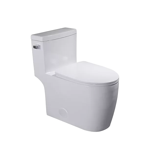 Dual Flush Elongated One-Piece Toilet Seat Included in White Color