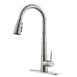 Pull Down Single Handle Kitchen Faucet in Brushed Nickel