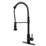 Single Handle High Arc Pull Out Kitchen Faucet with Pull Down Sprayer