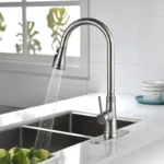 Pull-Down Single-Handle Sprayer Kitchen Faucet in Brushed Nickel