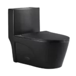 1-Piece Ceramic Dual Flush Round Matte Black Toilet