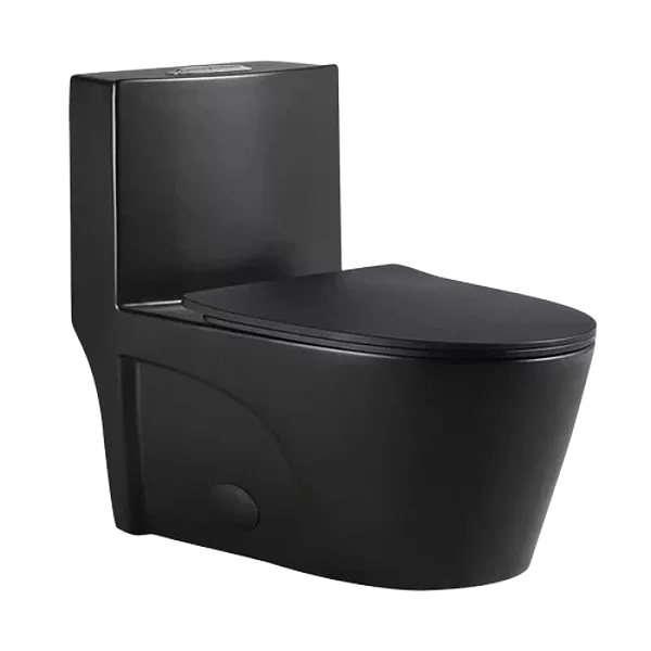 1-Piece Ceramic Dual Flush Round Matte Black Toilet