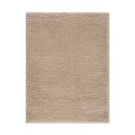 Camdyn Super Soft Polyester Shag Area Rug