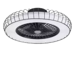 20 in. Black Cage Flush Mount Ceiling Fan with LED Light, Phone Control, 3 Speed, Timing, Brightness Adjustable