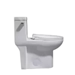 Dual Flush Elongated Eco Friendly One-Piece Toilet with Durable Ceramic Construction
