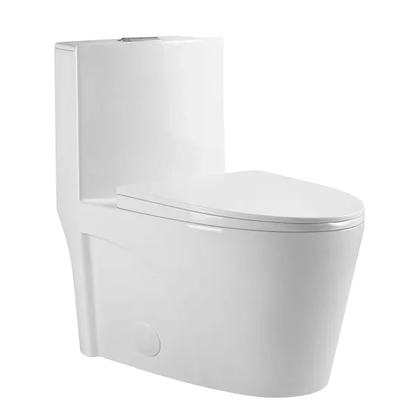 One Piece Dual Flush Modern Glossy White Ceramic Toilet