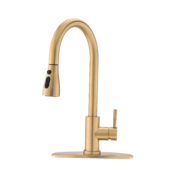 Pull Down Single Handle Kitchen Faucet in Brushed Gold