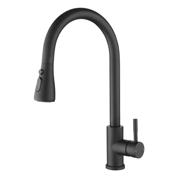 Single Handle  swivel spout Kitchen Faucet in Matte Black