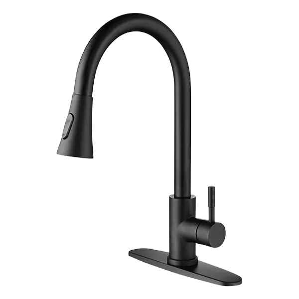 Swivel Spout Matte Black Kitchen Faucet with Single Handle