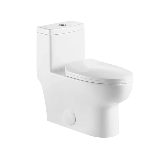 1-Piece Dual Flush Eco Friendly Toilet in White