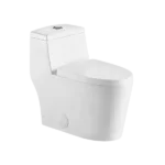 1-Piece Dual Flush Eco Friendly Toilet in White Color
