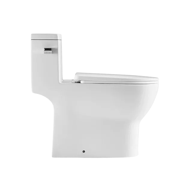 1-Piece Single Flush Ceramic Eco-Friendly Toilet in White