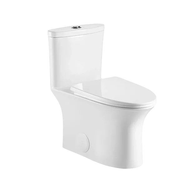 1-Piece Dual Flush Modern Ceramic Toilet in White Color