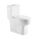 One Piece Dual Flush Modern Elongated Toilet in White