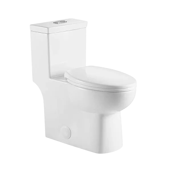 One Piece Dual Flush Modern Elongated Toilet in White