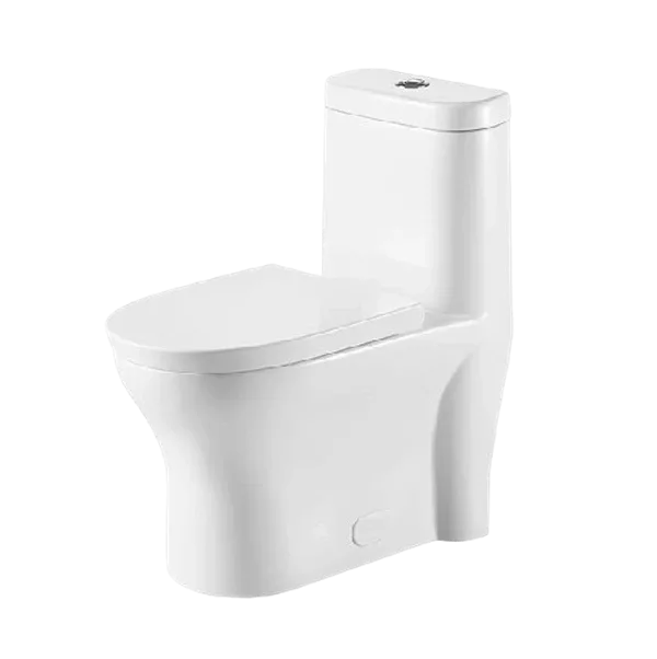 White Ceramic 1-Piece Dual Flush Elongated Toilet