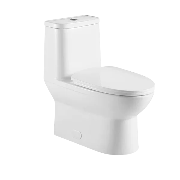 1-Piece Ceramic Dual Flush Elongated Toilet in White