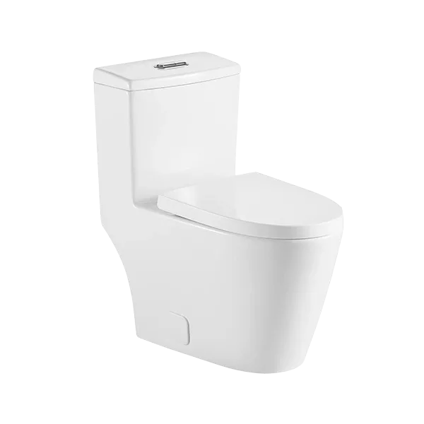 Dual Flush Elongated Ceramic One-Piece Toilet