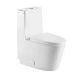 White Ceramic One-Piece Elongated Toilet With Dual Flush