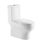 One-Piece White Toilet  With Dual Flush With Eco Friendly Design