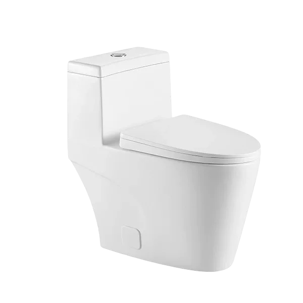 Eco Friendly Dual Flush 1-Piece Toilet in White Color