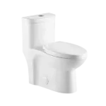 Dual Flush 1-Piece Elongated Ceramic Toilet in White Color