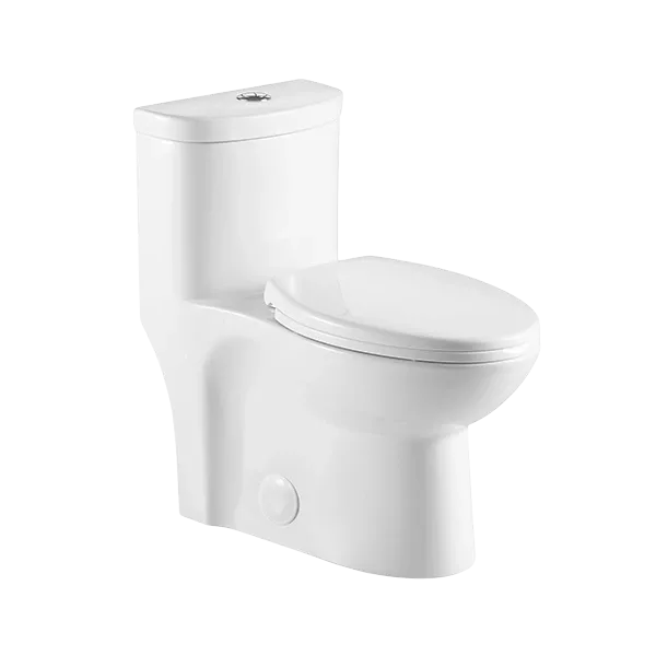 Dual Flush 1-Piece Elongated Ceramic Toilet in White Color