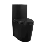 Dual Flush Modern Ceramic Matte Black Toilet