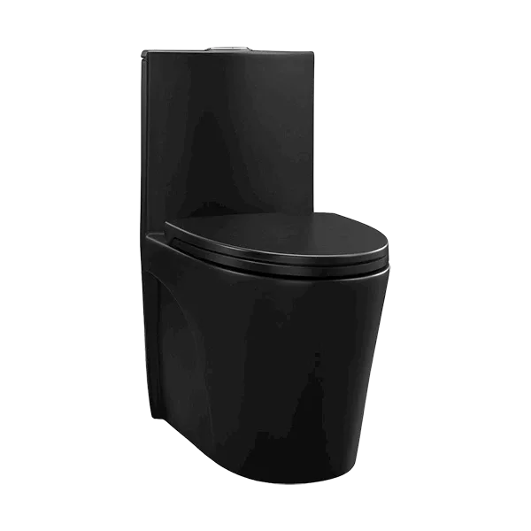Dual Flush Modern Ceramic Matte Black Toilet