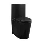 Dual Flush Modern Ceramic Matte Black Toilet
