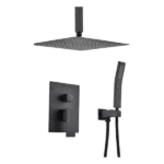 1-Spray Pattern Ceiling Mount Dual Shower Heads with Spot Resist in Matte Black