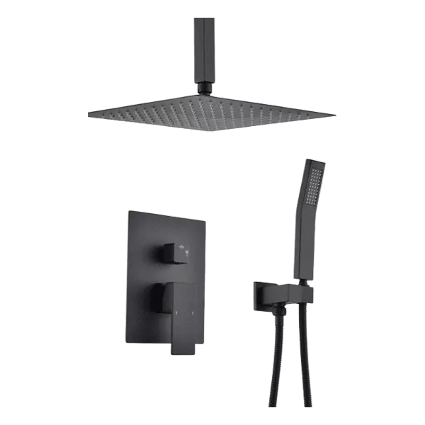 1-Spray Pattern Ceiling Mount Dual Shower Heads with Spot Resist in Matte Black
