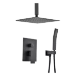 1-Spray Pattern Ceiling Mount Dual Shower Heads with Spot Resist in Matte Black