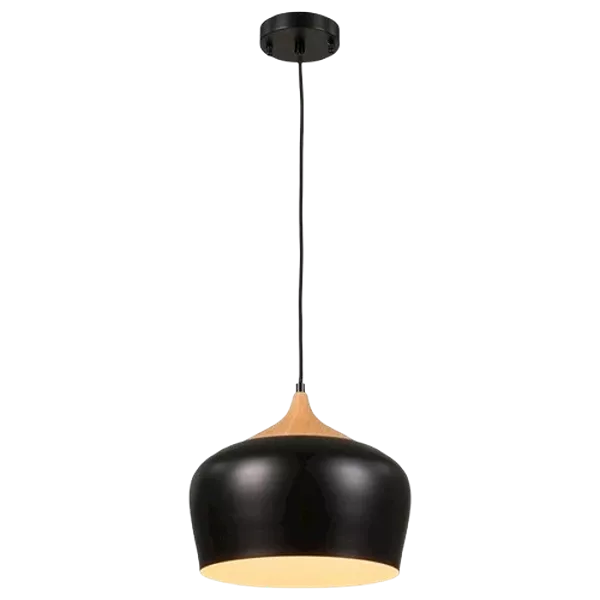 Pendant Light Industrial Ceiling Hanging Lamp , Metal Dome Ceiling Lights Fixture 11.8 Inch Adjustable Height For Indoor