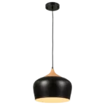 Pendant Light Industrial Ceiling Hanging Lamp , Metal Dome Ceiling Lights Fixture 11.8 Inch Adjustable Height For Indoor