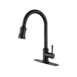 Single-Handle Pull-Down Kitchen Faucet in Matte Black