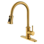 Kitchen Faucet with Pull Out Sprayer