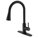 Kitchen Faucet with Pull Out Sprayer