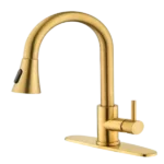Kitchen Faucet with Pull Out Sprayer