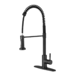 Kitchen Faucet with Pull Out Spraye