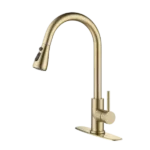 Kitchen Faucet with Pull Out Spraye