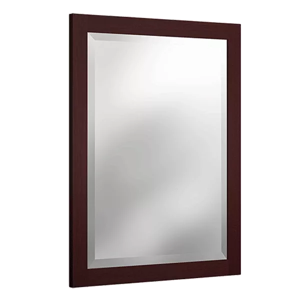 24 in. W x 30 in. H Framed Rectangular Beveled Edge Bathroom Vanity Mirror in Espresso