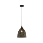 Arbios Metal Perforated Pendant with Matte Black Shade For Indoor