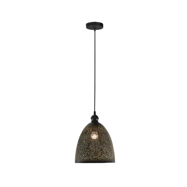 Arbios Metal Perforated Pendant with Matte Black Shade For Indoor