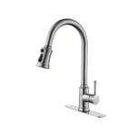 Single Handle High Arc Pull Out Kitchen Faucet, Single Level Stainless Steel Kitchen Sink Faucets with Pull Down Sprayer