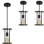 Single Light Vintage Black Metal Cage Pendant Light with Adjustable Height For Indoor