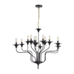 Light Pro 12-Light Ferruginous Stamen-Shaped Iron Chandelier for Dining Room with no Bulbs Included